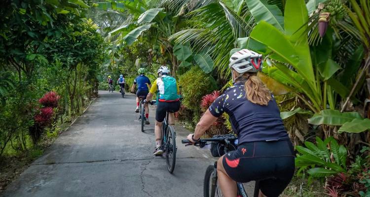 Cyclists ride along a narrow shaded road flanked by dense tropical vegetation.