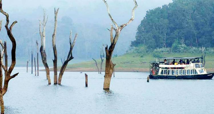 Ein Safarboot gleitet an versunkenen Baumstämmen auf den nebligen Gewässern des Periyar-Sees vorbei.