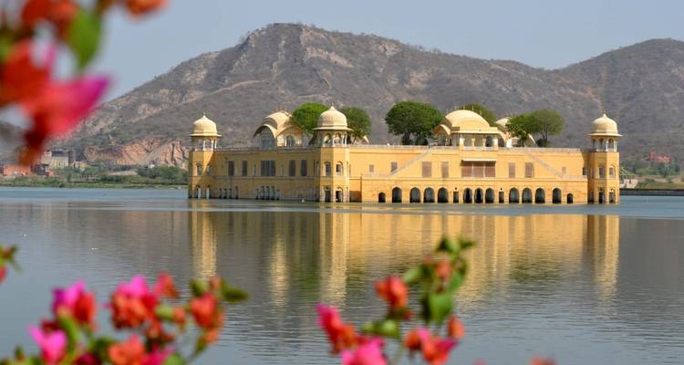 Eleganter Palast Jal Mahal, der sich im ruhigen See spiegelt, mit Blütenblättern, die den Blick rahmen.