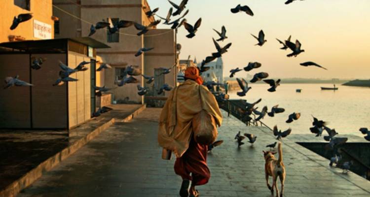 A robed monk walks along the river ghats at dawn surrounded by a flock of pigeons and a stray dog.