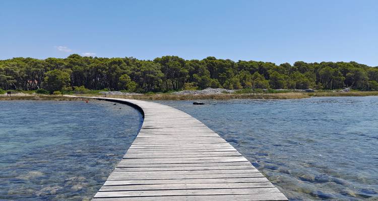 Wooden walkway leads over clear blue shallows toward a line of pine trees on a sunny day.