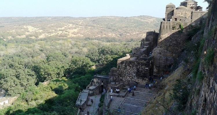 Une vue surélevée des anciens remparts de pierre et des escaliers accrochés à une colline accidentée entourée d'une forêt dense.