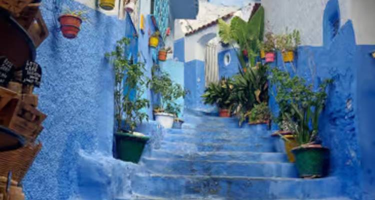 Narrow staircase lined with blue-painted walls and colorful potted plants in Chefchaouen.