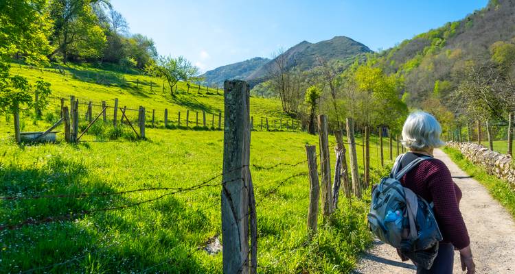 Ein Wanderer mit Rucksack geht eine ländliche Straße vorbei an leuchtend grünen Weiden in Richtung bewaldeter Hügel.