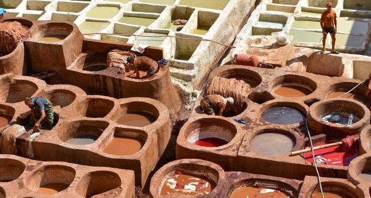 Ouvriers tannant les peaux dans les cuves en pierre traditionnelles des tanneries de Fès