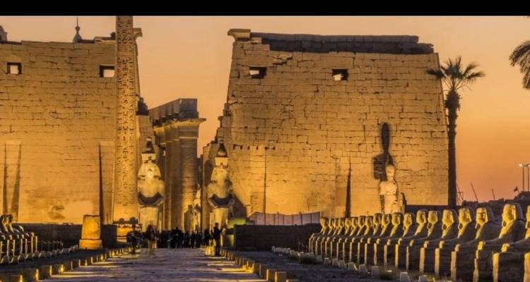 Illuminated entrance of Luxor Temple at golden hour with a long avenue of ram-headed sphinxes
