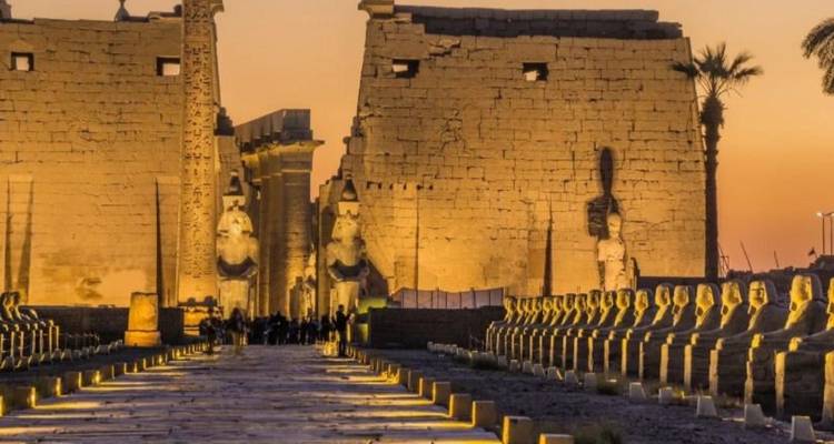 Evening view of the illuminated Luxor Temple entrance with rows of seated sphinx statues