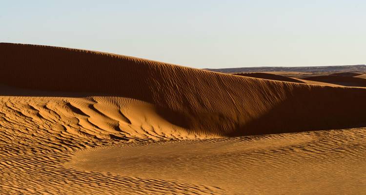 Close-up of smooth wind-sculpted sand dune with sharp ridges and long shadows.