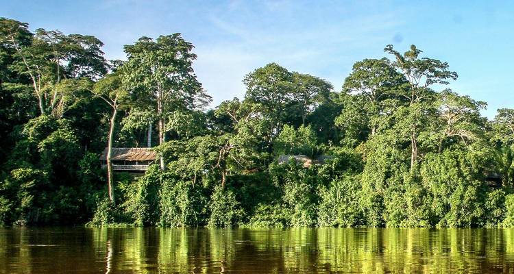 Lush green rainforest lining a tranquil brown river, with a rustic lodge partly visible among towering trees under blue sky.