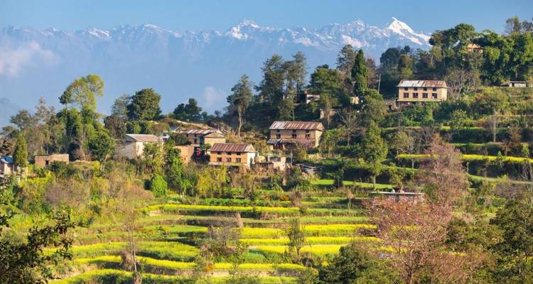 Terraced rural hillside dotted with farm houses and spring blossoms with snowy peaks behind.