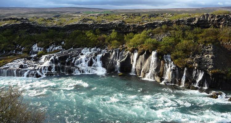 Das türkisfarbene Wasser stürzt über zahlreiche kleine Wasserfälle bei Hraunfossar herab, umgeben von Lavastein und Sträuchern.