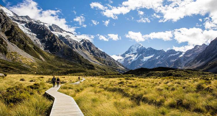 Hikers walking along a wooden boardwalk through golden tussock with snow-capped Mount Cook towering ahead.