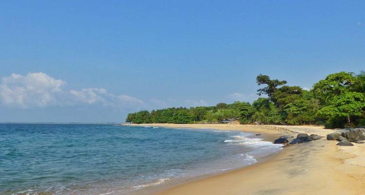 Quiet tropical beach with gentle waves, golden sand, and palm trees under a clear sky.