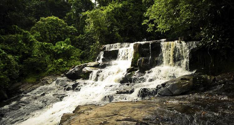 Small waterfall pouring over dark rocks in a lush green forest.