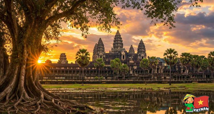 Sunburst through ancient tree in front of the towers of Angkor Wat at dawn.