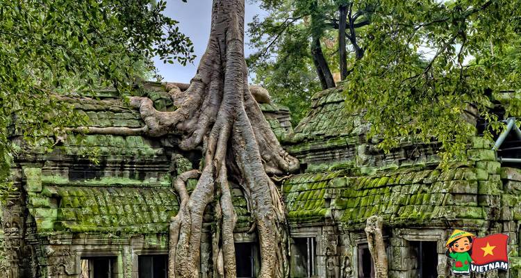 Massive tree roots engulf moss-covered stone ruins in a jungle setting.