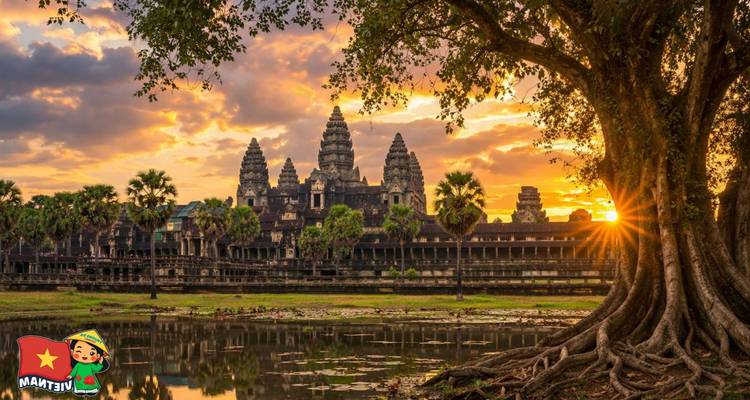 Sunburst through ancient tree in front of the towers of Angkor Wat at dawn.