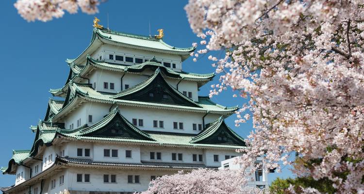 Nagoya Castle framed by blooming cherry blossoms beneath a clear blue sky