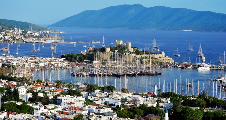 Panorama du port de Bodrum rempli de yachts et du château médiéval en arrière-plan dominé par des collines ondulantes.