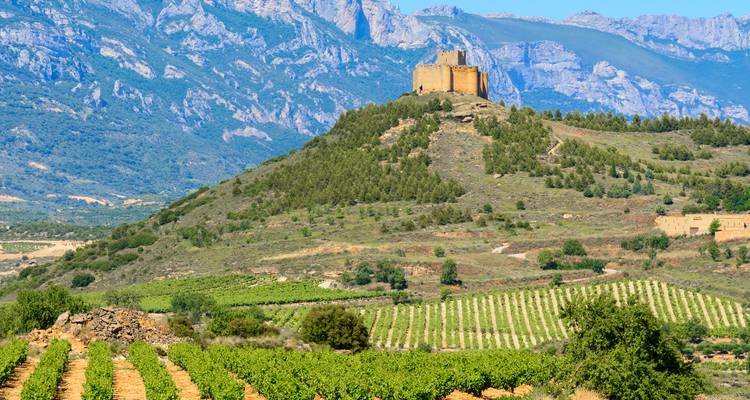 Château perché au sommet d'une colline couverte de vignobles avec des montagnes espagnoles escarpées à l'arrière-plan en La Rioja.