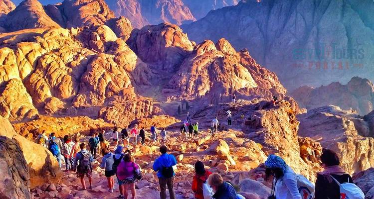 Large hiking group ascending colorful rocky slopes of Mount Sinai at dawn; faint tour watermark present.