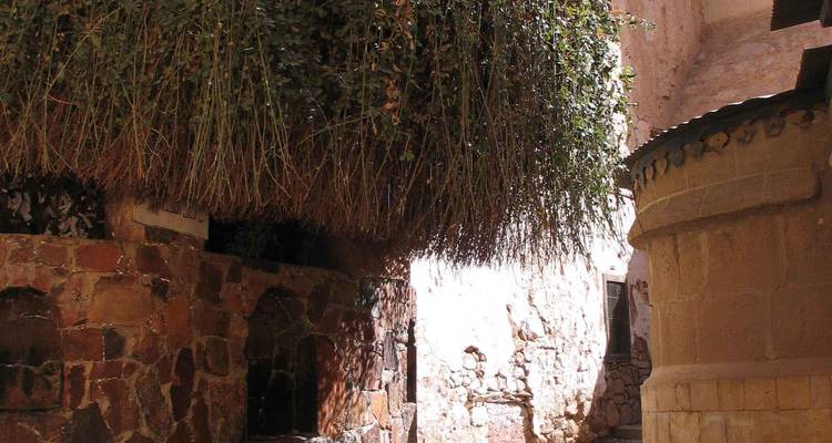 Shaded stone passage with overhanging greenery inside an ancient monastery complex.