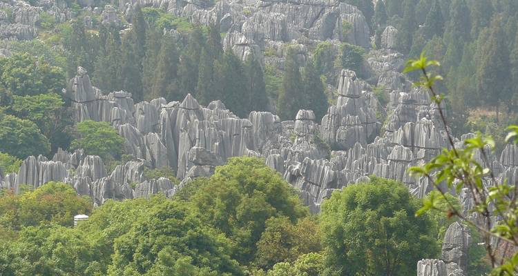 Karst stone pinnacles and evergreen trees form the dramatic landscape of the Stone Forest.