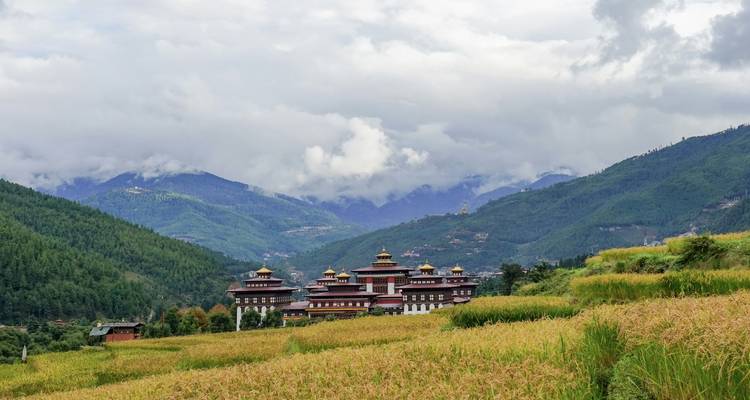 Un dzong bhoutanais se dresse parmi les rizières dorées avec des montagnes couvertes de nuages à l'horizon.
