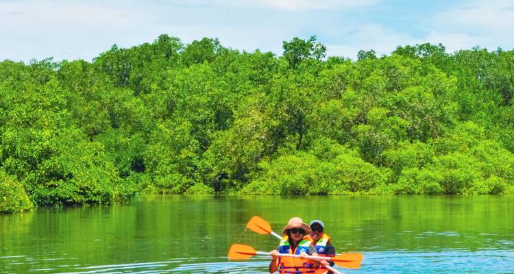 Couple faisant du kayak sortant d'une lagune de mangroves vers les eaux ouvertes, végétation en arrière-plan.