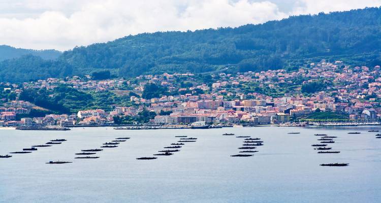 Coastal town of Vigo nestled on a green hillside overlooking mussel farming platforms in the bay.