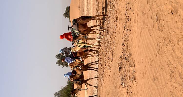 Cinco turistas en camellos avanzan en fila india a través de una extensa llanura arenosa salpicada de arbustos dispersos.