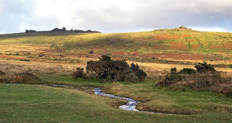 Rolling moorland landscape with a small winding stream, grassy slopes and rocky tors under a partly cloudy sky.