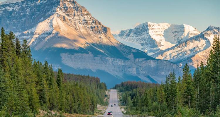 Long straight highway framed by dense pine forest leading toward towering snow-covered peaks on the Icefields Parkway.