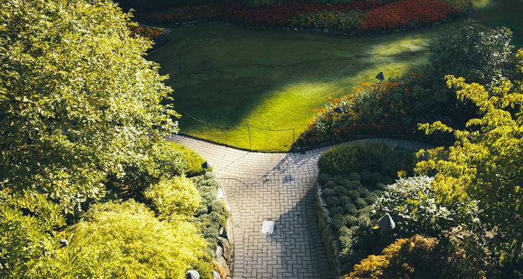 Bird’s-eye view of manicured flowerbeds and winding brick pathway in the lush Butchart Gardens.