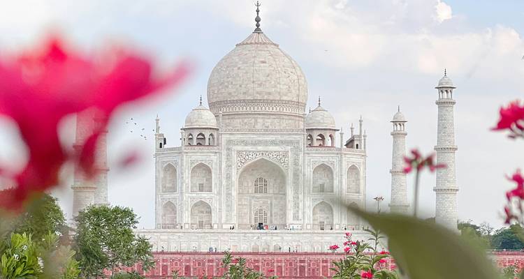 The Taj Mahal rises beyond blurred red blossoms, offering a dreamy floral foreground.