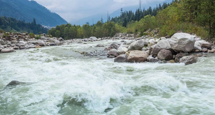 Un fleuve d'eau vive et turbulente dévale sur les rochers à travers une vallée himalayenne boisée.
