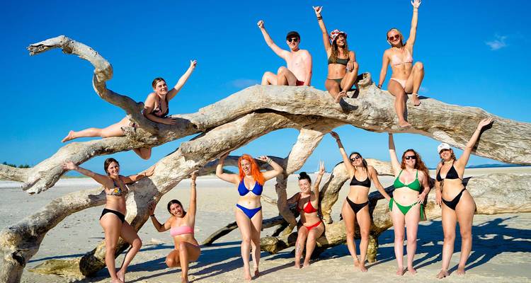 Een leuke groep in zwemkleding poseert op een gigantische drijfhoutboom op een zandstrand.