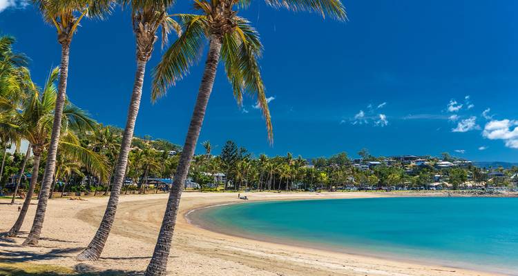 Tropische baai met palmen aan de oevers, turquoise water en heldere blauwe lucht in de buurt van Airlie Beach.