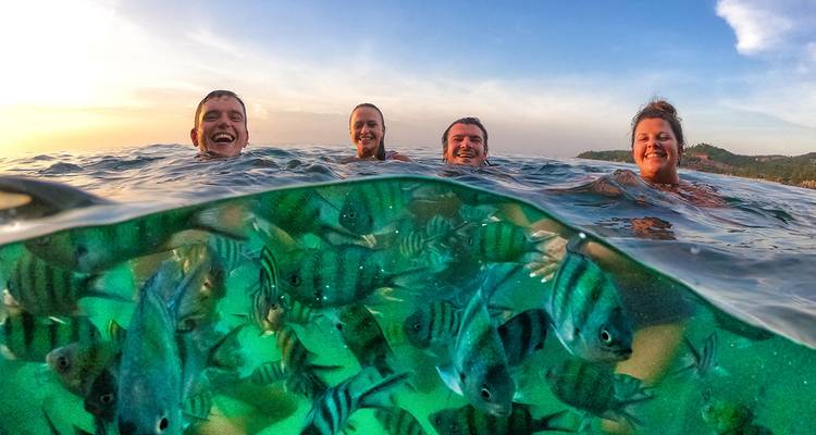 Lachende zwemmers op waterhoogte met gestreepte vissen zichtbaar onder het oppervlak