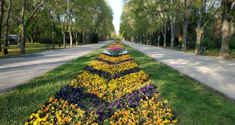 Des parterres de fleurs géométriques colorés formant un motif pyramidal le long d'une allée bordée d'arbres