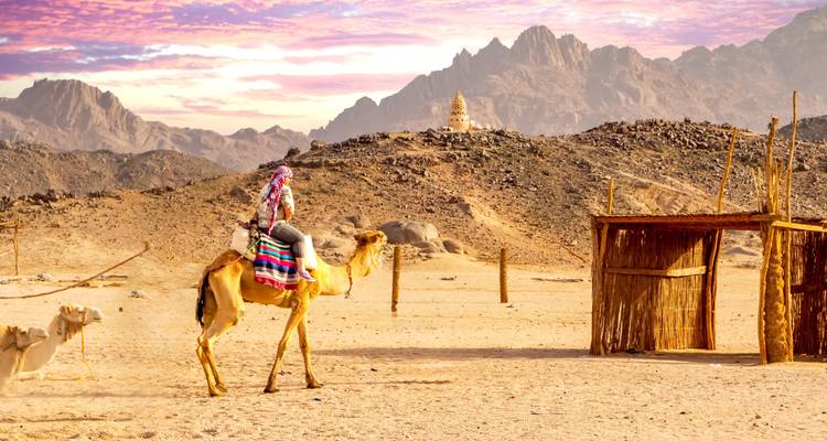 Traveler in colorful attire riding a camel across a golden desert with mountains at sunset.