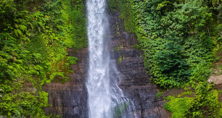 Tall narrow waterfall cascades into lush green gorge surrounded by tropical foliage.