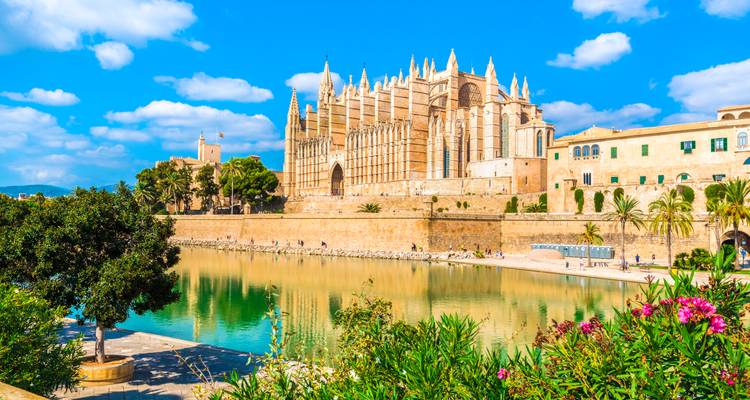 La Catedral Gótica de La Seu en Palma reflejada en un foso tranquilo rodeado de flores y palmeras.