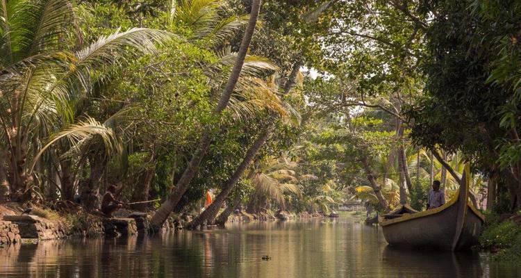 A narrow canal winds through lush Kerala backwaters where locals fish from shady banks.