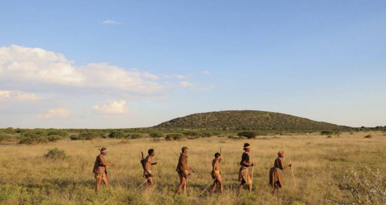 Line of San trackers walking across open grassland under blue sky.