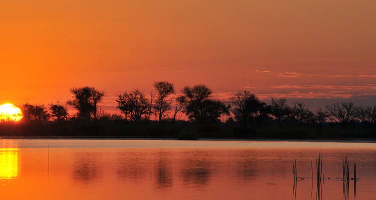 Brilliant orange sunset reflected on calm water with tree silhouettes along the shore.