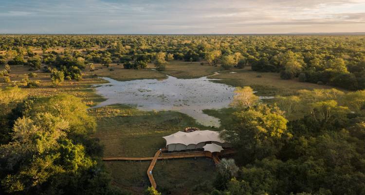 Aerial view of a tented safari camp beside a large wetland surrounded by expansive green woodland at dawn.