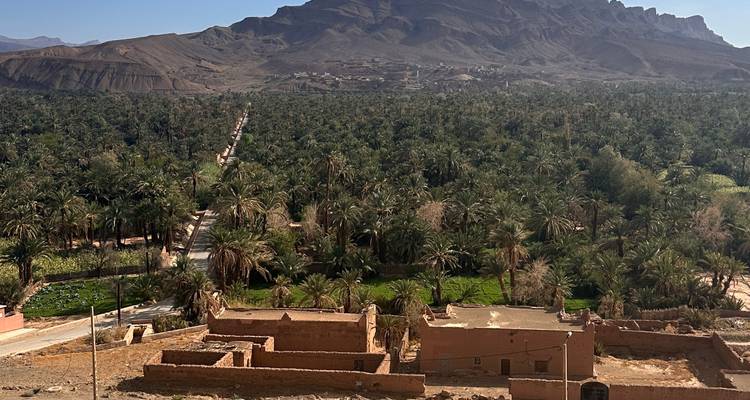 Exuberante oasis de palmeras extendiéndose hacia montañas escarpadas bajo un cielo radiante.