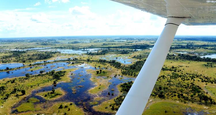 Okavango Delta patchwork of water channels and islands seen from a small plane wing