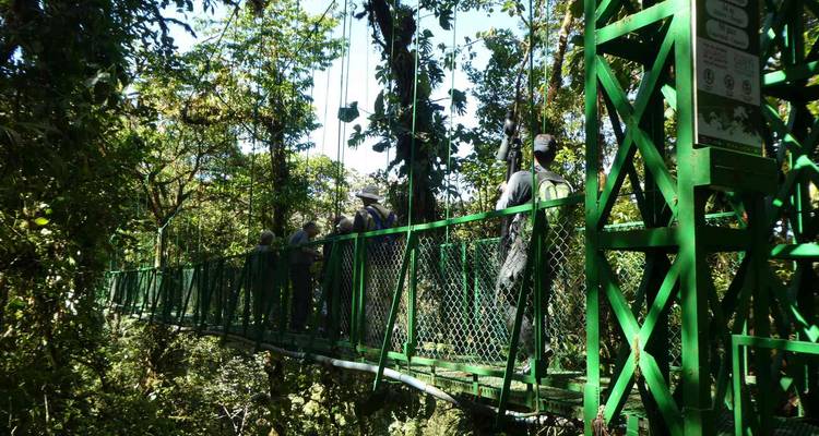 Un petit groupe de randonneurs traversant un pont suspendu en métal vert au cœur de la canopée de la forêt tropicale.
